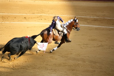 Matador