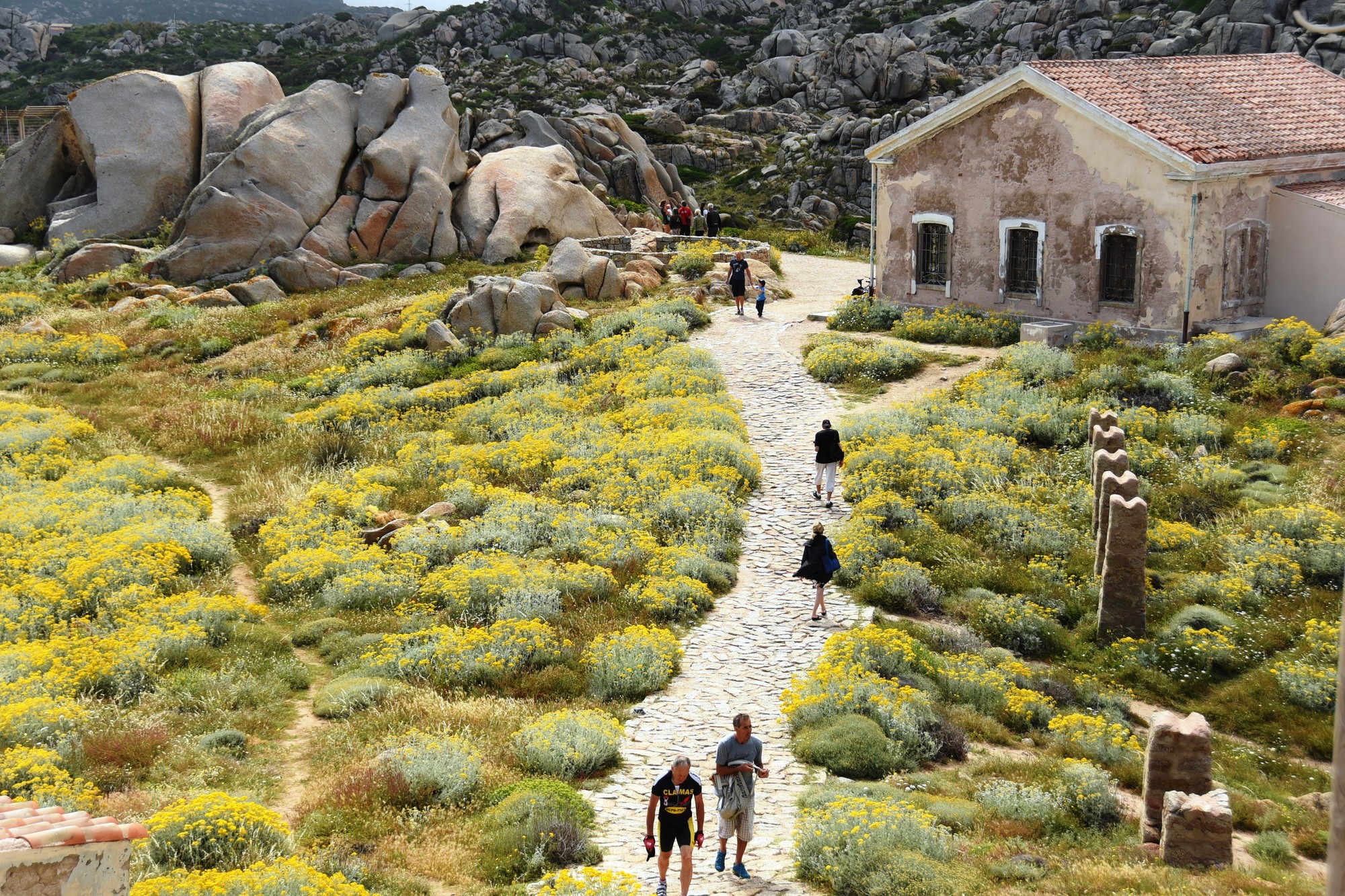 Why is Sardinia a Blue Zone dream? Orchard Times